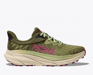 HOKA Challenger 7 Women's Trail Running Shoes Olive Green | 518742TFM