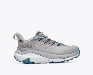 HOKA Kaha 2 Low GTX Women's Hiking Shoes Grey | 045638WRS